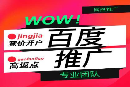 百度推广公司案例解析：如何提升品牌知名度
